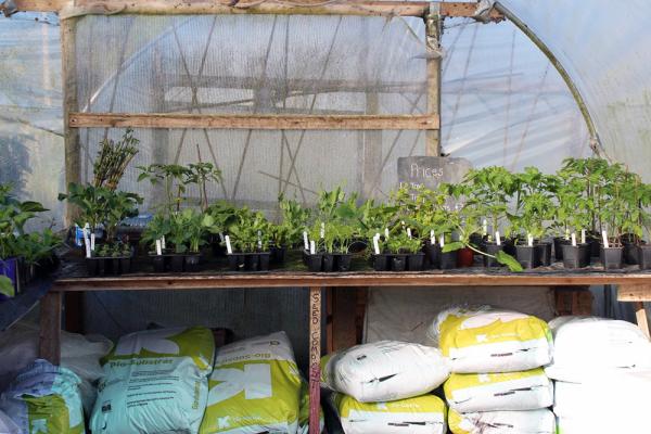 Klasmann-Deilmann Organic Composts