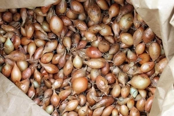 Why are Onions Heat Treated?