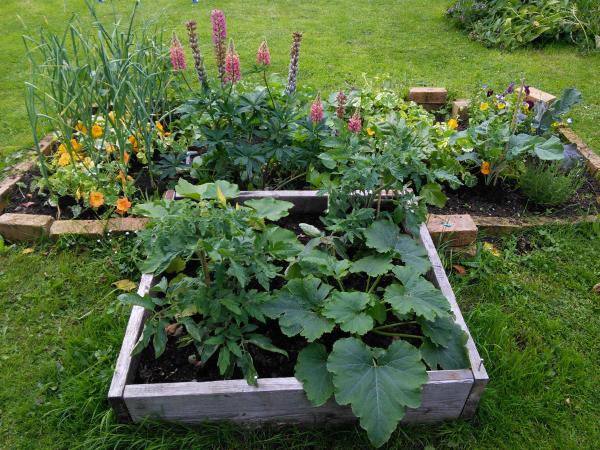 How does your garden grow - featured March garden