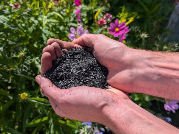 What is Biochar?