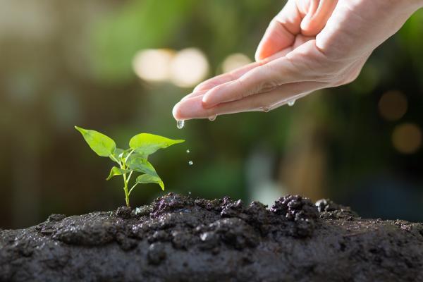 What is a Biostimulant?