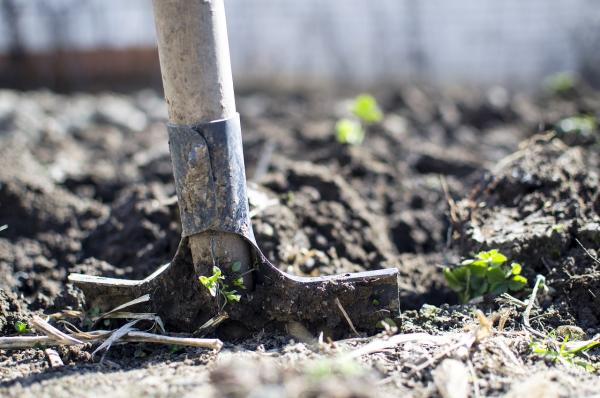Soil Conditioners