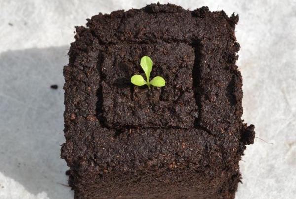 Soil Blockers