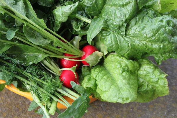 6 Quick Growing Crops