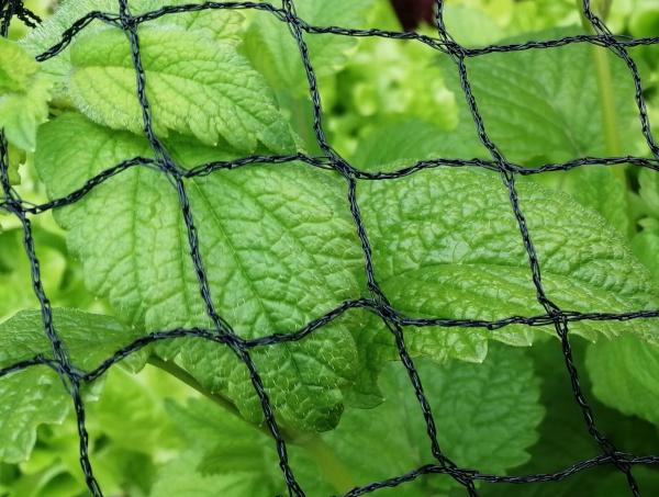 Cover & Protect With Netting