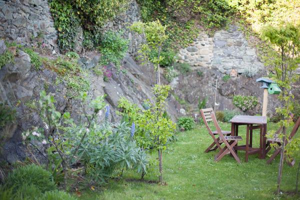 How Does Your Garden Grow - Featured May Garden