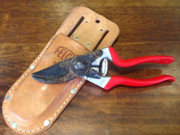 Cleaning and Sharpening Pruning Tools