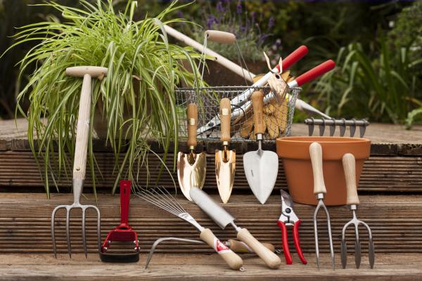 Most Popular Tools 2024