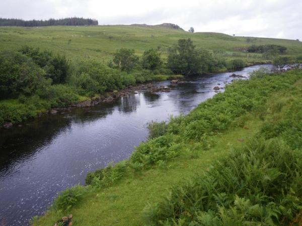 Riparian Buffer Zones