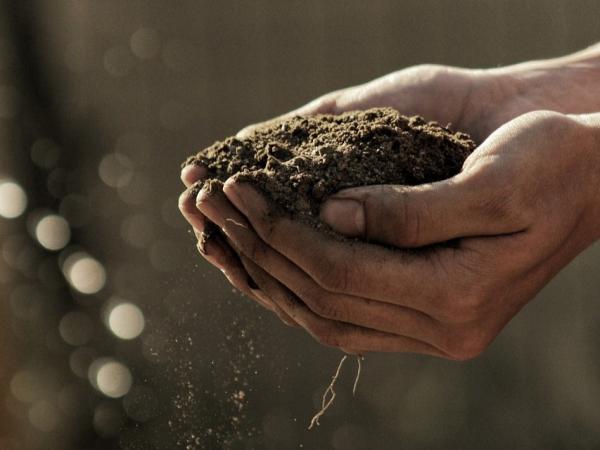 Autumn Soil Testing