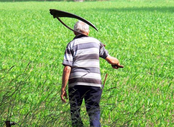 Scything