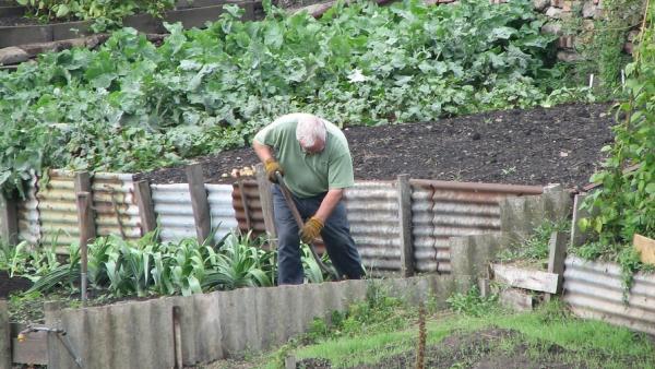 Crop Rotation
