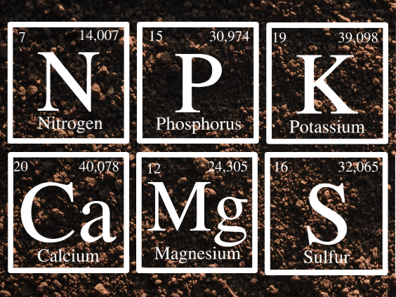 Elements for Plant Nutrition