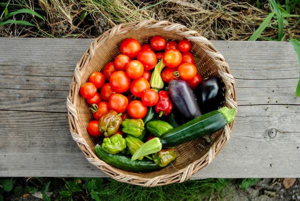 What To Do With Surplus Produce?