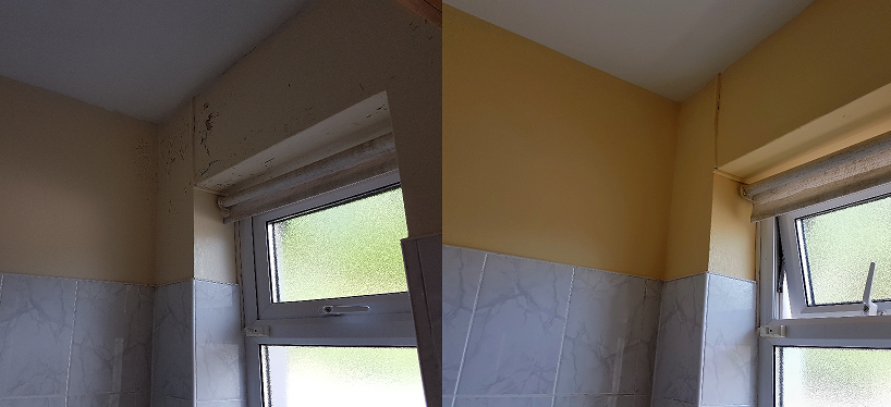 Creme Livos Wall Paint Non Toxic Emulsion Paint