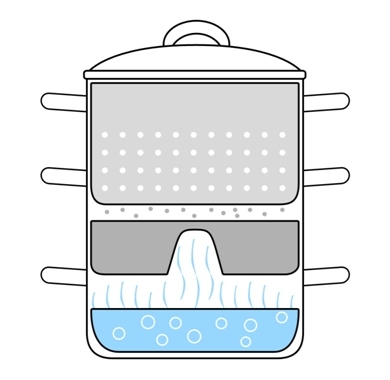 Steam Juice Extractor