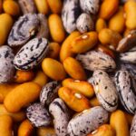 Seed Saving Basics