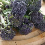 April Seasonal Table: Purple Sprouting Broccoli