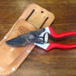 Cleaning and Sharpening Pruning Tools