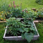 How does your garden grow - featured March garden