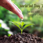 World Soil Day 2023