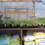 Klasmann-Deilmann Organic Composts