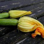 Seasonal Table July - Courgettes