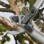 Winter Pruning