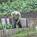 Crop Rotation