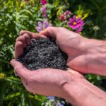 What is Biochar?