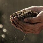 Soil Health - Regenerative Agriculture