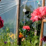 How does your garden grow - featured April garden
