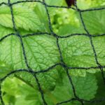 Cover & Protect With Netting