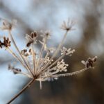 January Garden Jobs