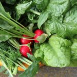 6 Quick Growing Crops