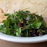 Sprouting and Microgreen Seed List