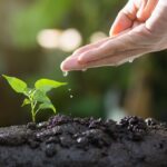 What is a Biostimulant?