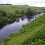 Riparian Buffer Zones