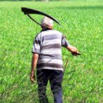 Scything