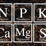 Elements for Plant Nutrition