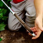 Soil Testing - Taking a Soil Sample