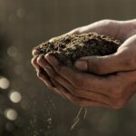 Autumn Soil Testing
