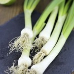 February Seasonal Table: Leeks