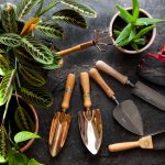 Our Favourite Tools