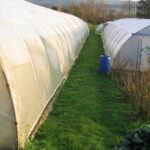 Cleaning Your Polytunnel