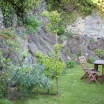 How Does Your Garden Grow - Featured May Garden