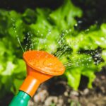 Wise Watering
