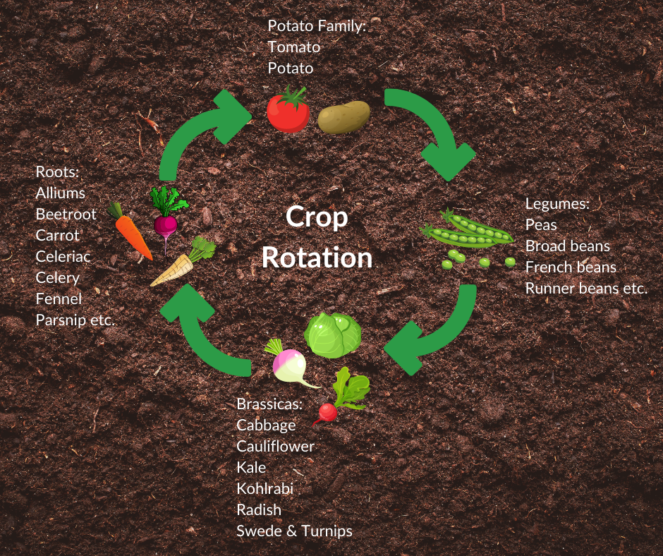 Crop Rotation | Fruit Hill Farm Blog