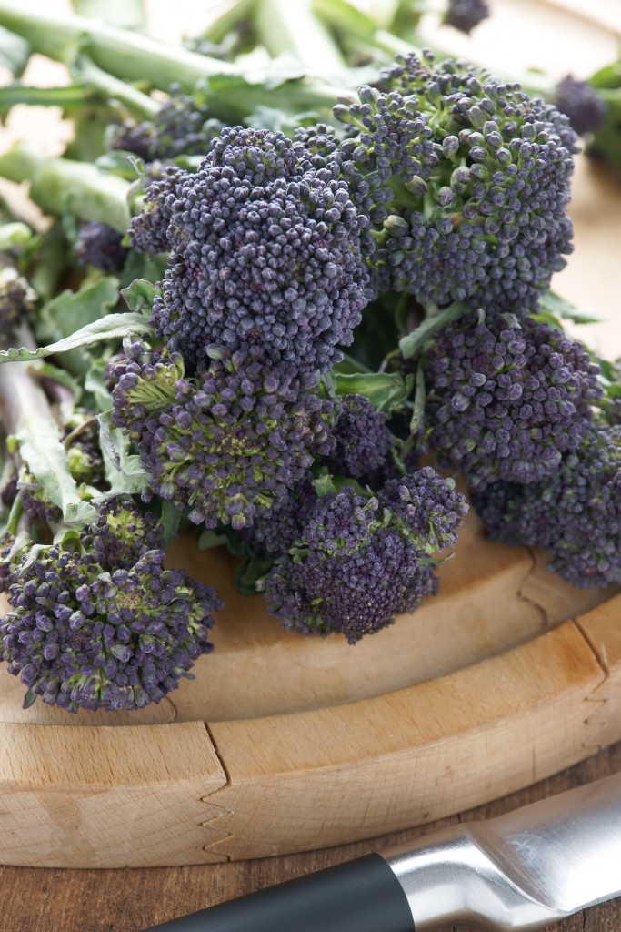 Purple sprouting broccoli a winter vegetable high in nutrients