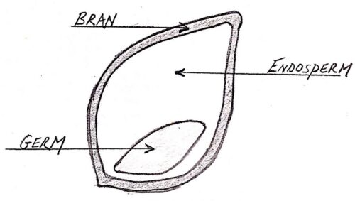 Wholegrain